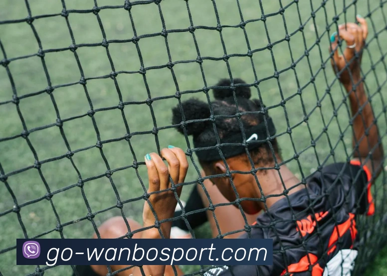 App Interface Preview