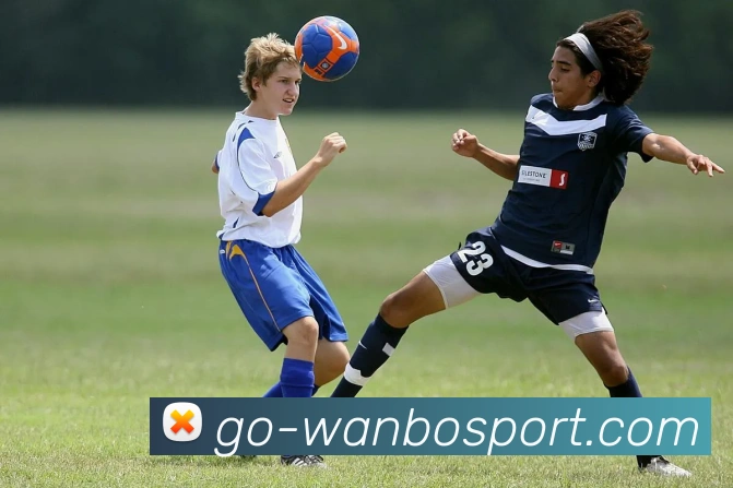 万博体育APP 封面图